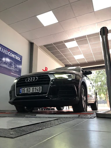 Profesyonel tanılama ekipmanı kullanarak kapsamlı araç muayenesi yapan üniformalı sertifikalı otomotiv teknisyeni